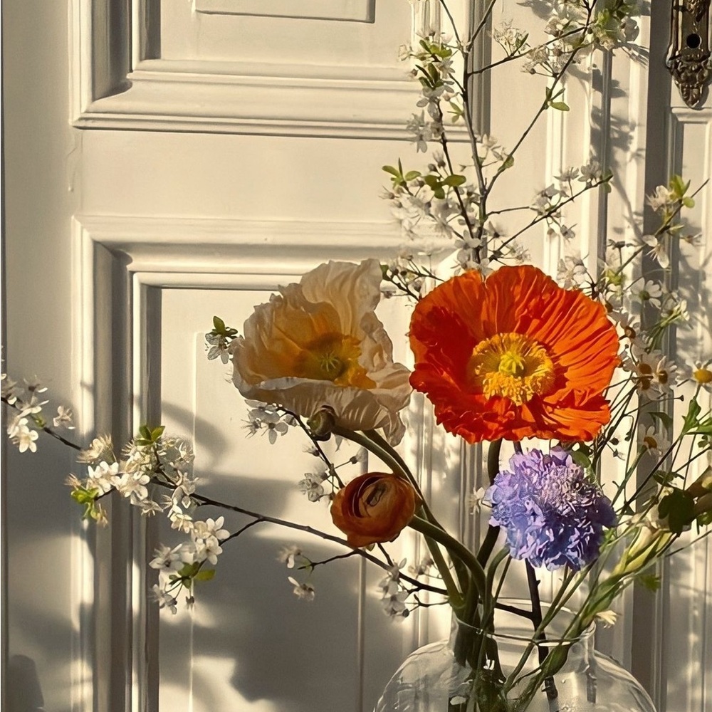 Happy Poshing! - Picture 2 of 16